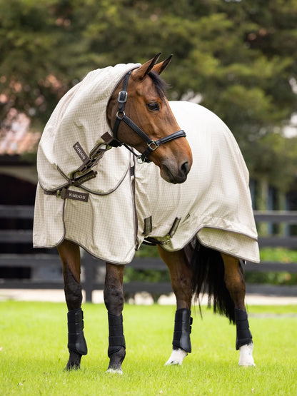 LeMieux Kudos Field Rug with Neck Stone