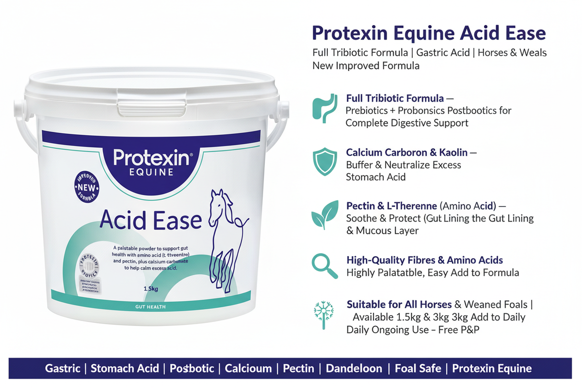 Protexin Acid Ease Infographic