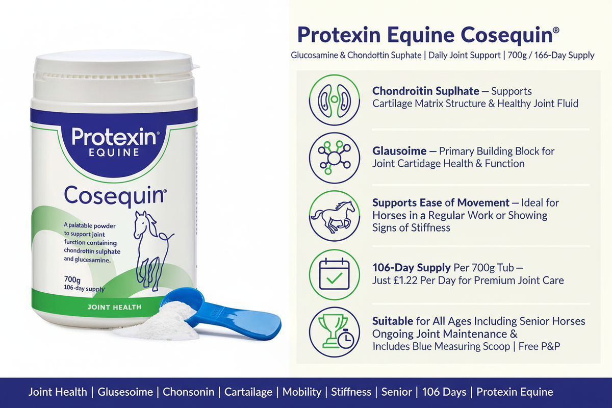 Protexin Cosequin Infographic