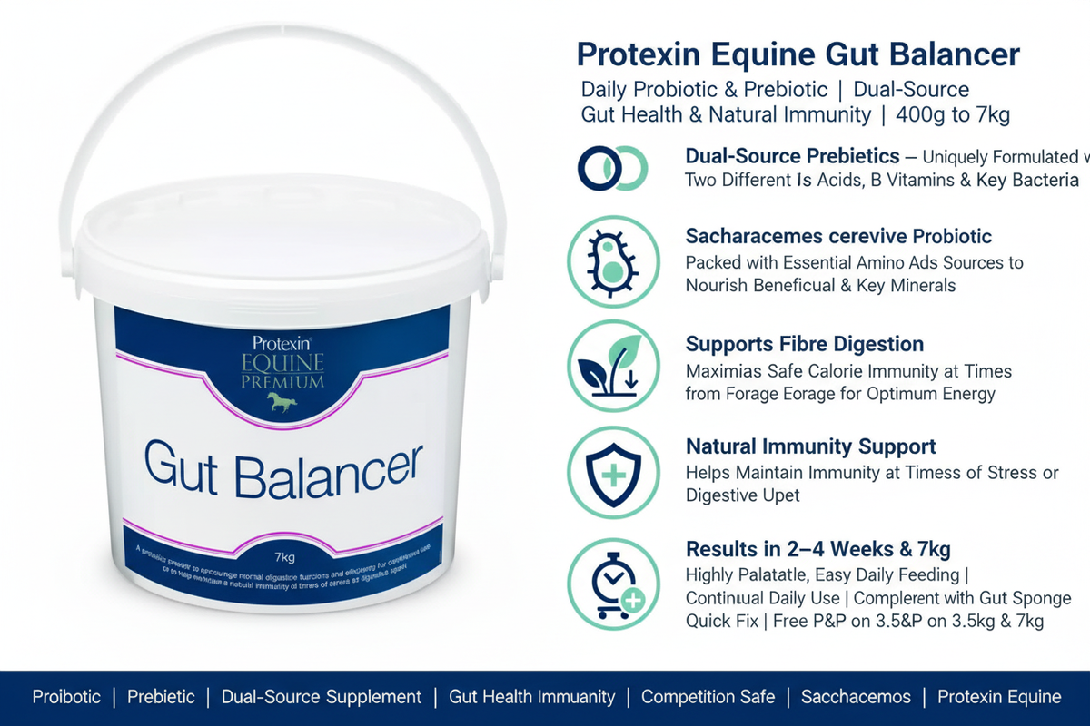 Protexin Gut Balancer Infographic