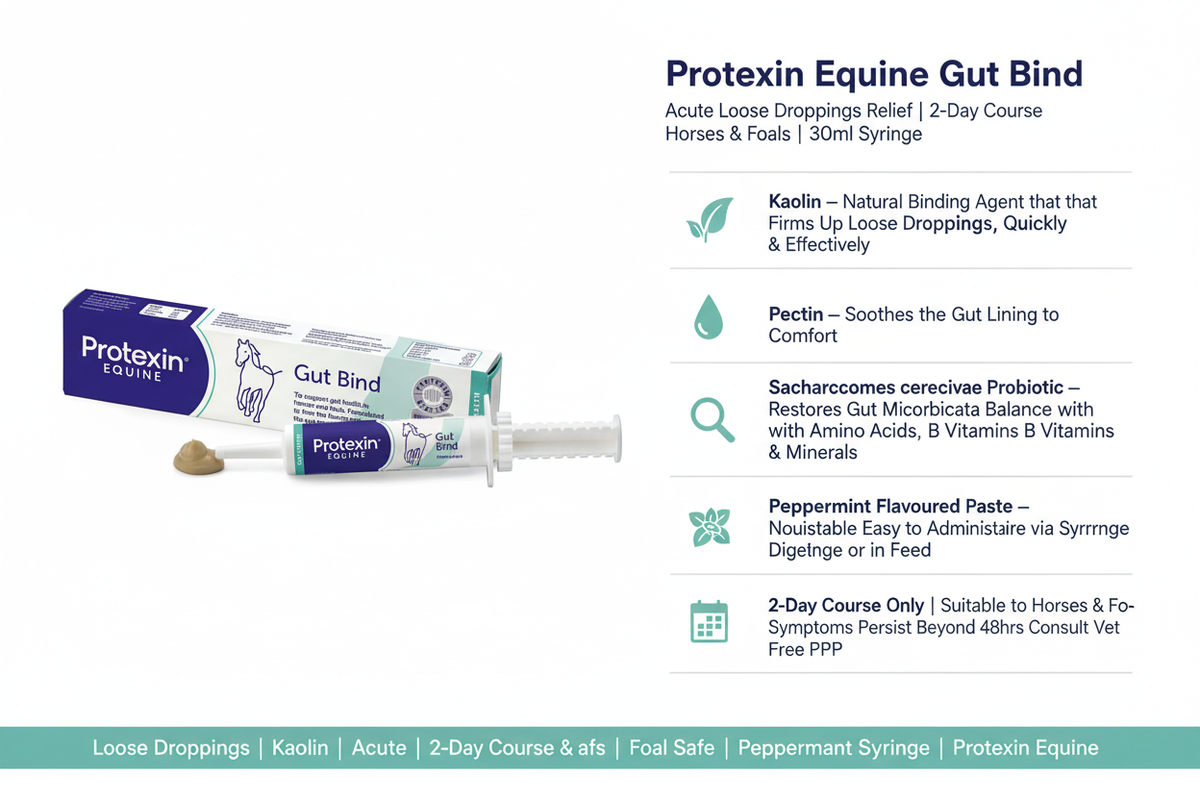 Protexin Gut Bind Infographic