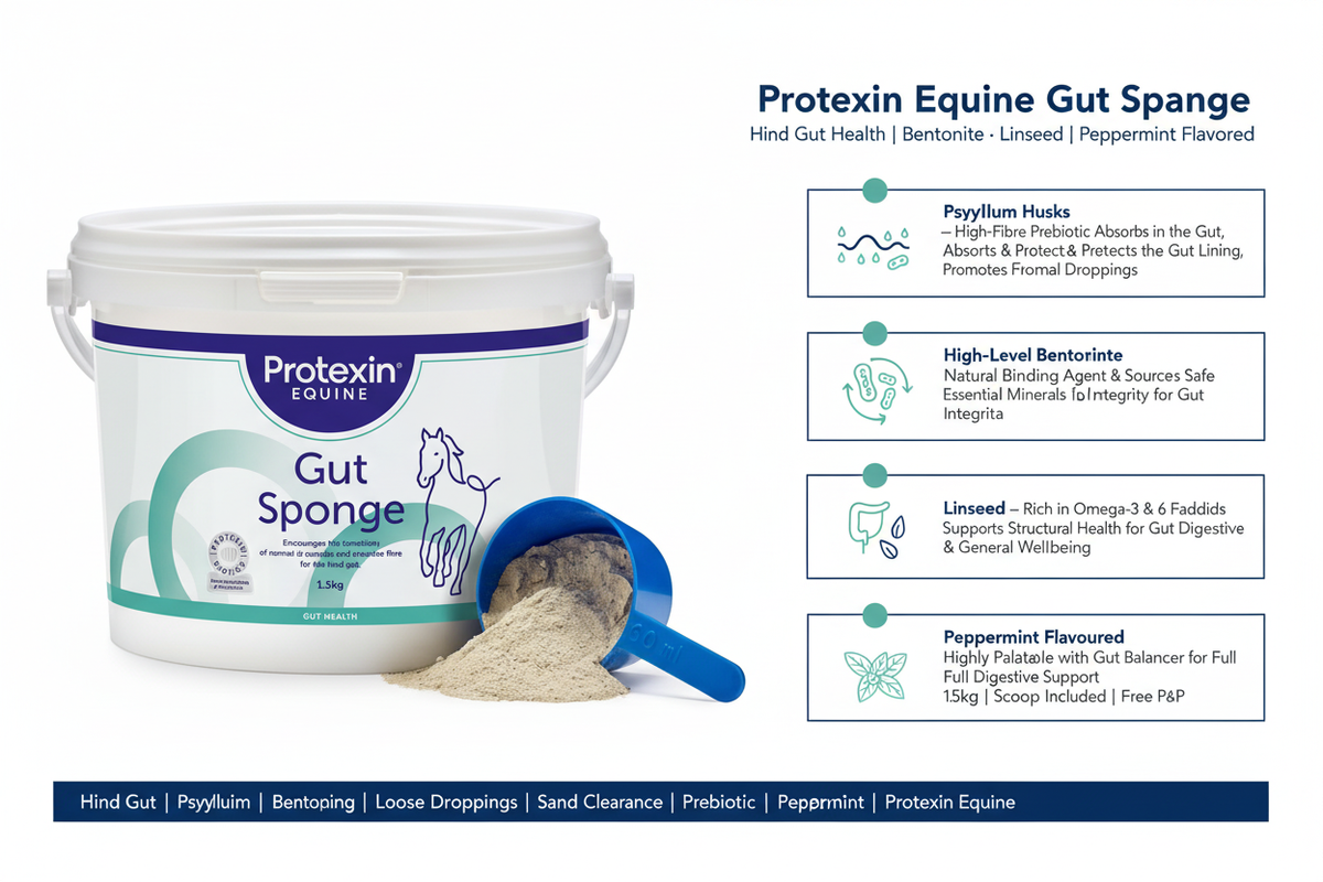 Protexin Gut Sponge Infographic