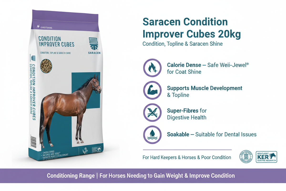 Saracen Condition Improver Cubes Infographic