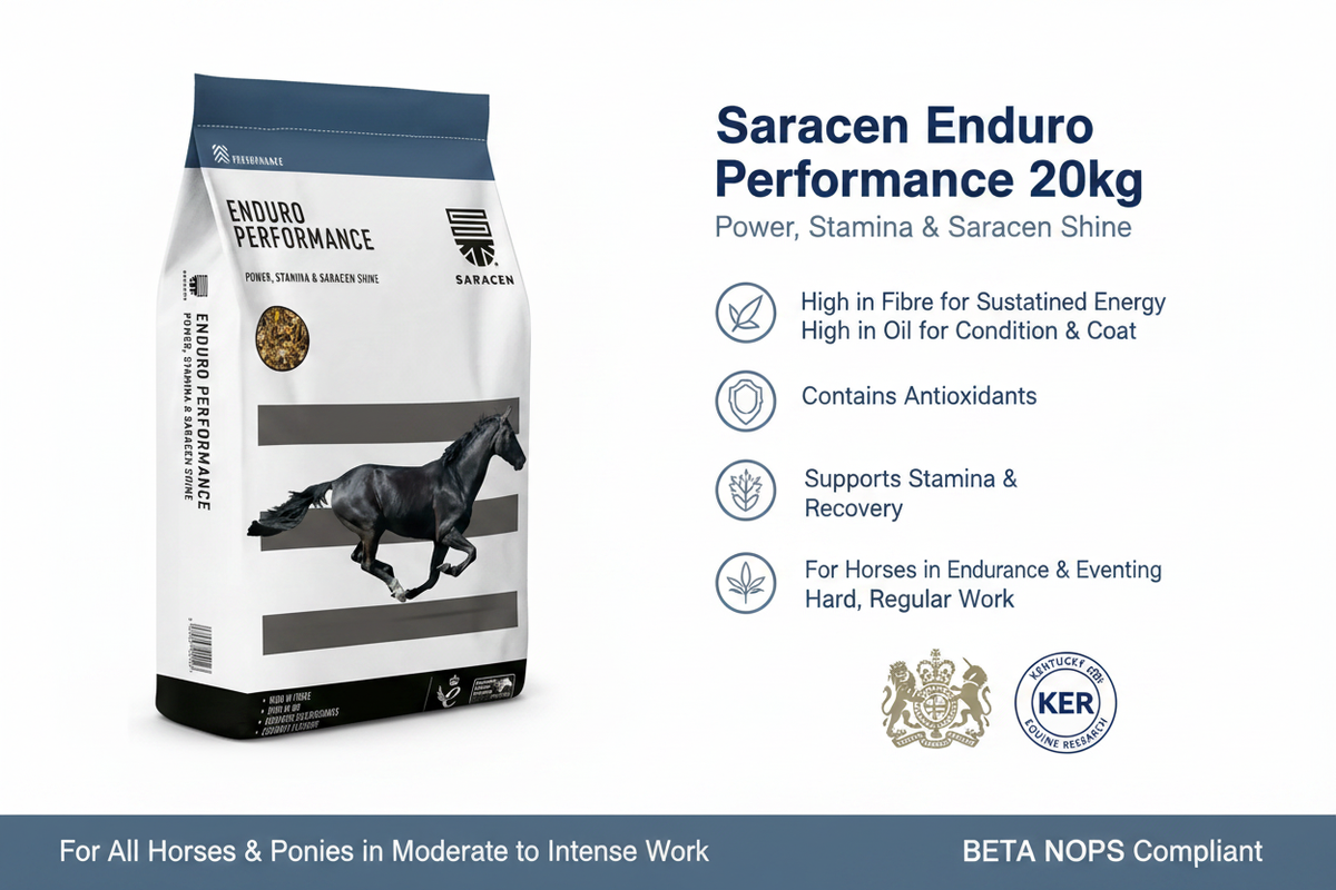 Saracen Enduro Performance Infographic