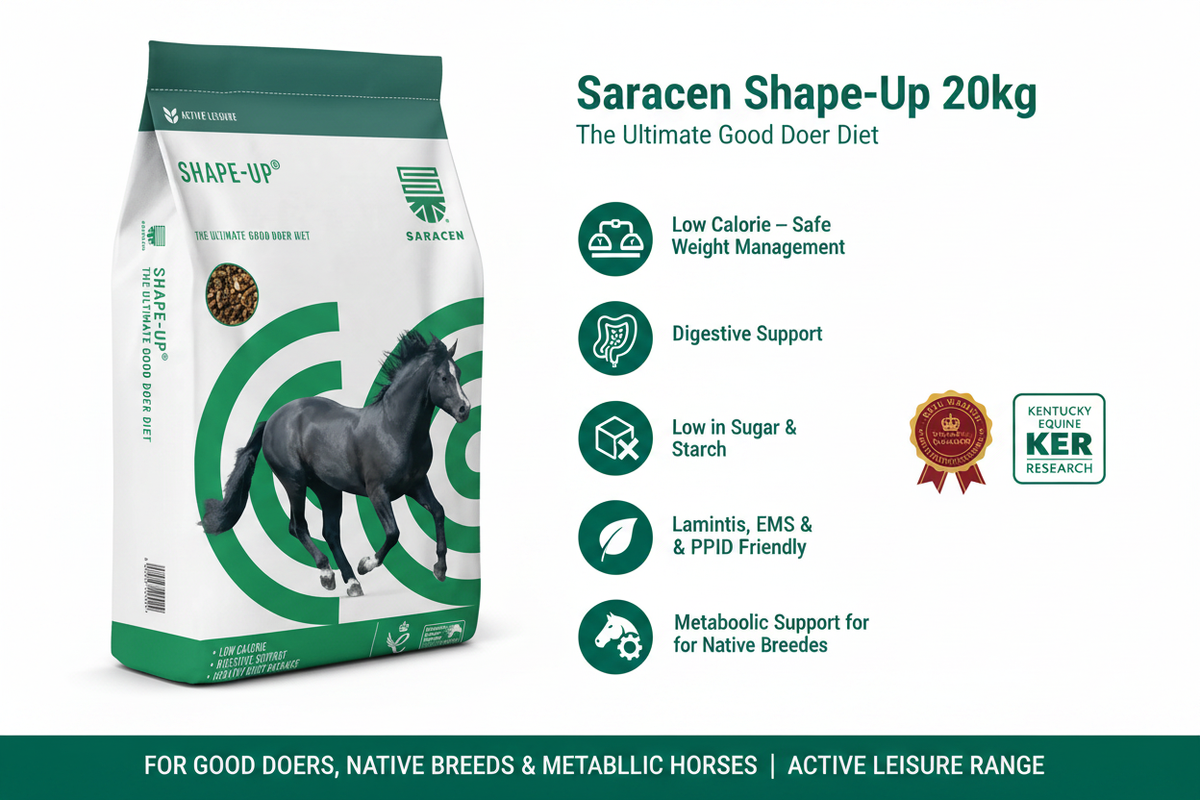 Saracen Shape-Up Infographic
