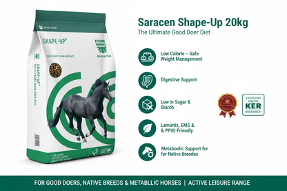 Saracen Shape-Up Infographic