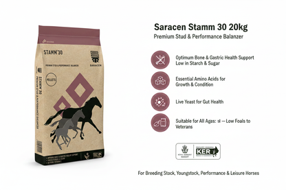 Saracen Stamm 30 Infographic