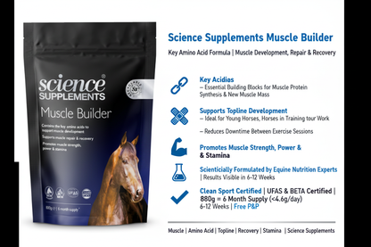 Science Supplements Muscle Builder Infographic