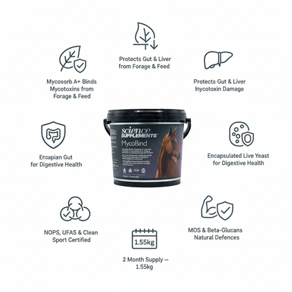Science Supplements MycoBind Infographic