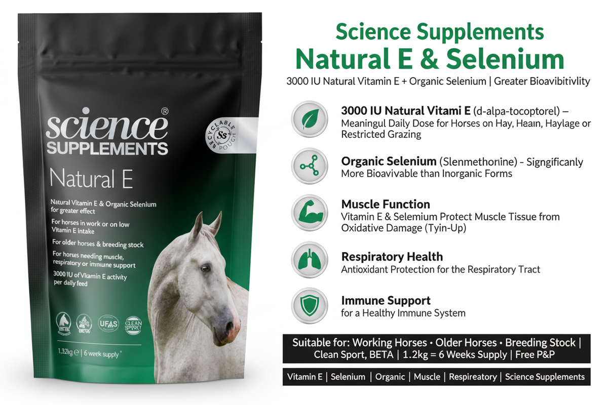 Science Supplements Natural E & Selenium Infographic