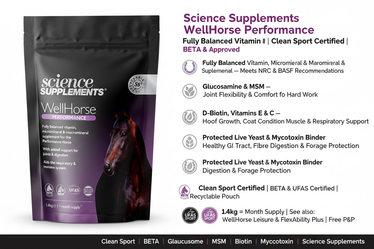 Science Supplements WellHorse Performance Infographic