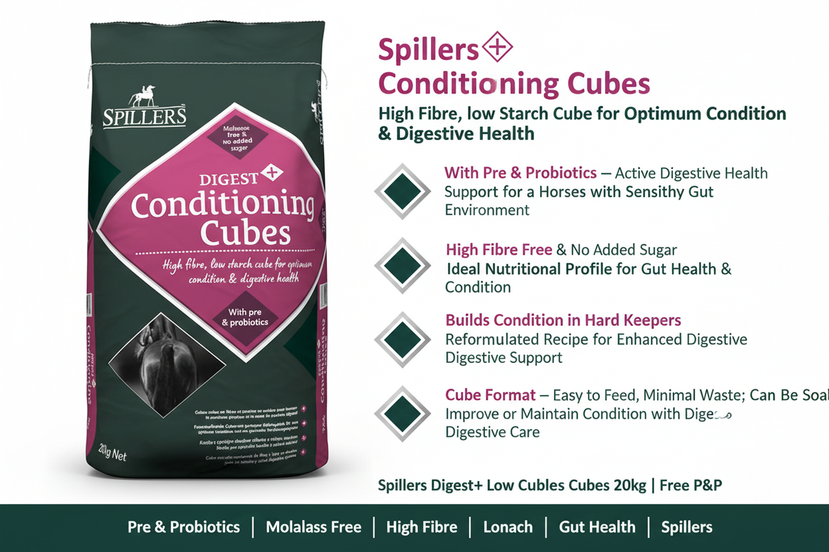 Spillers Digest+ Conditioning Cubes Infographic