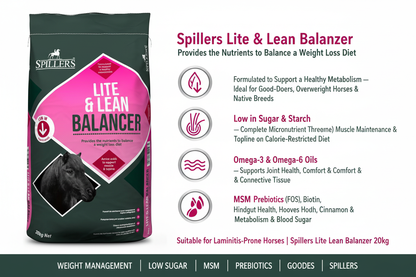 Spillers Lite & Lean Balancer Infographic