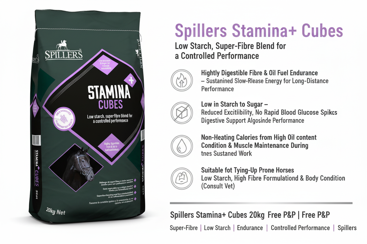 Spillers Stamina+ Cubes Infographic