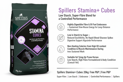 Spillers Stamina+ Cubes Infographic