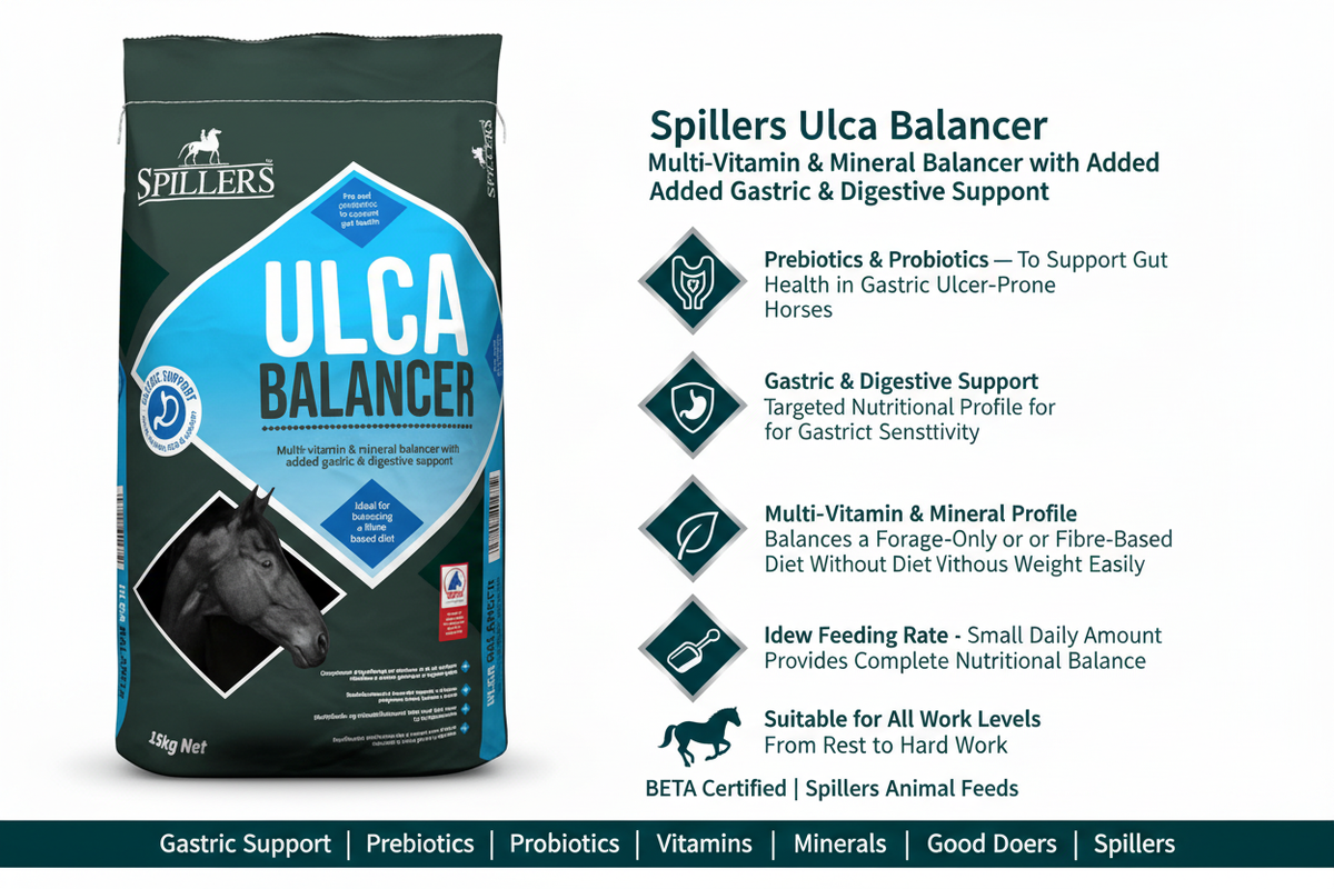 Spillers Ulca Balancer Infographic