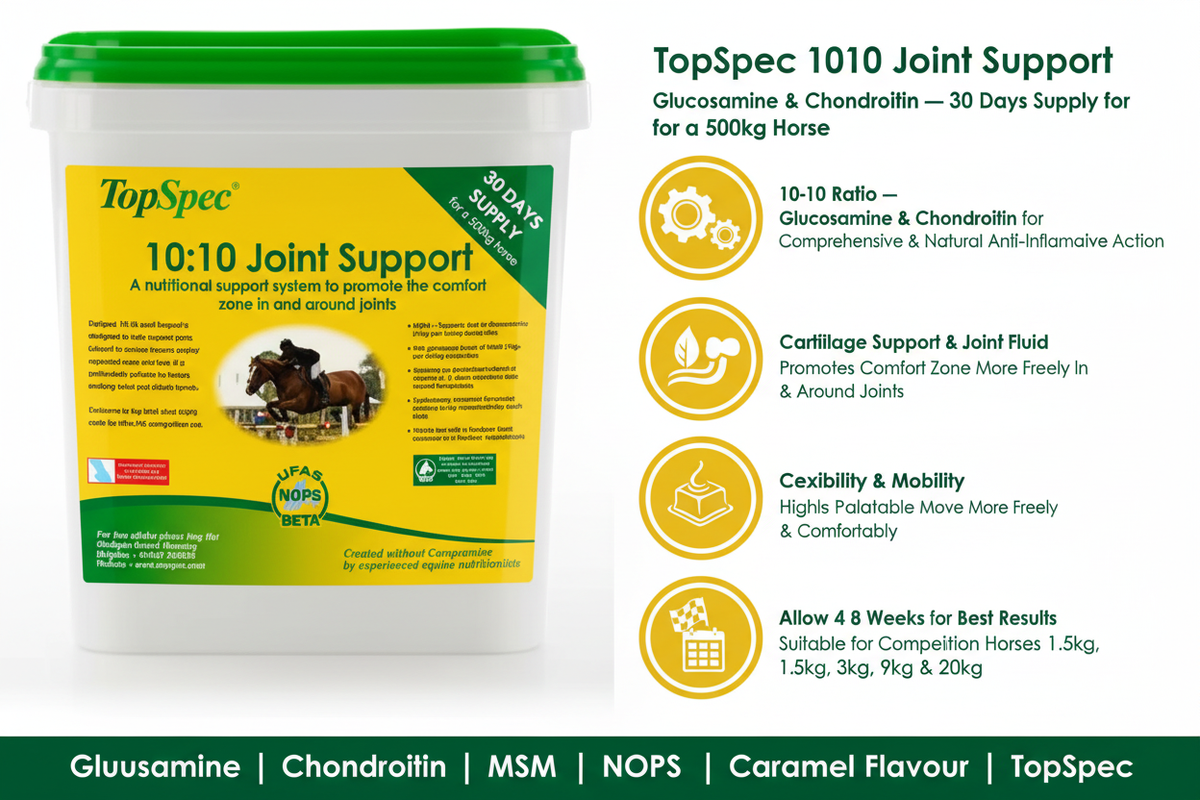 TopSpec 10:10 Joint Support Infographic