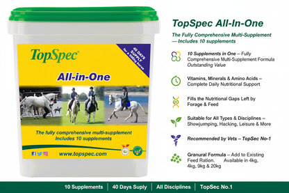 TopSpec All-In-One Infographic