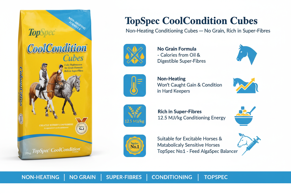 TopSpec CoolCondition Cubes Infographic
