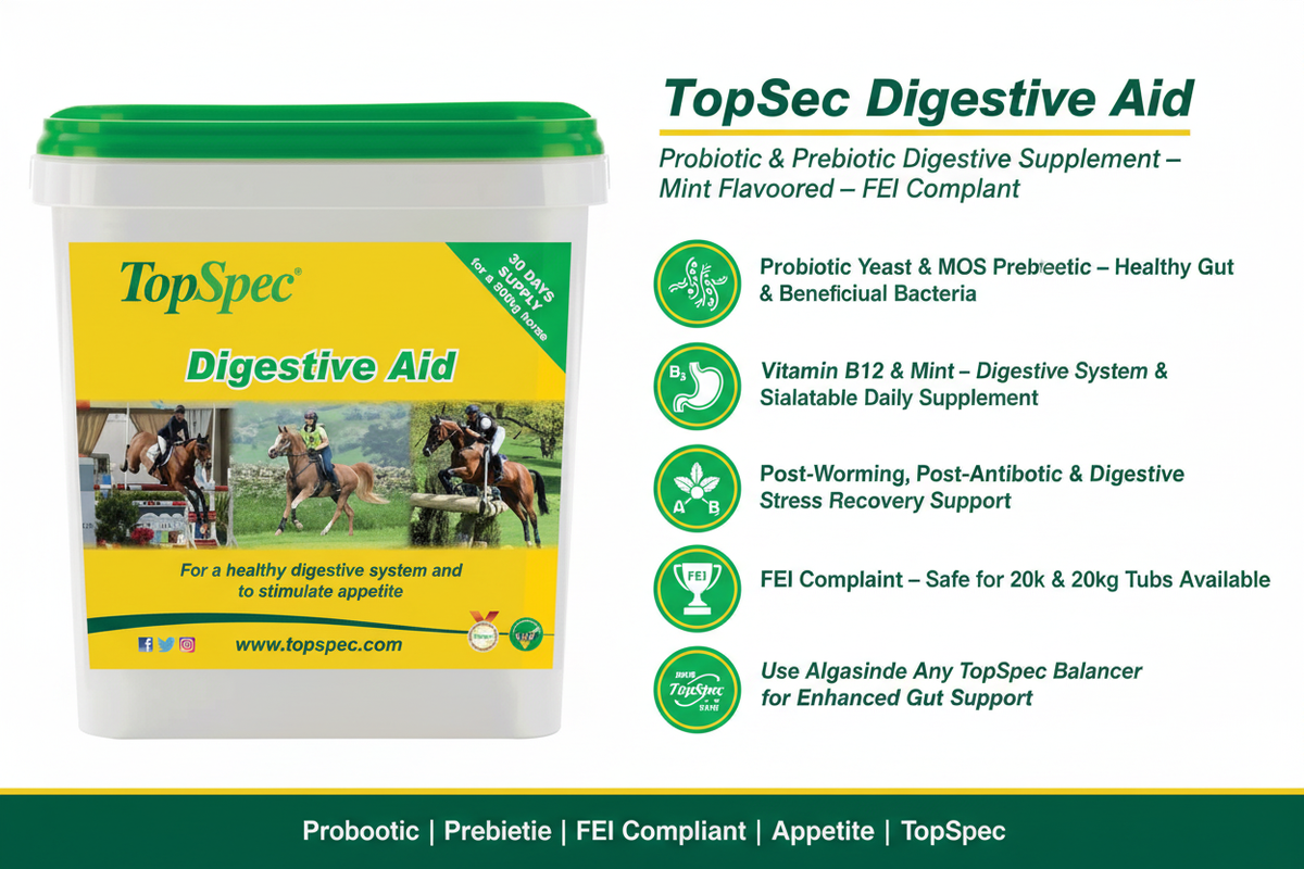 TopSpec Digestive Aid Infographic