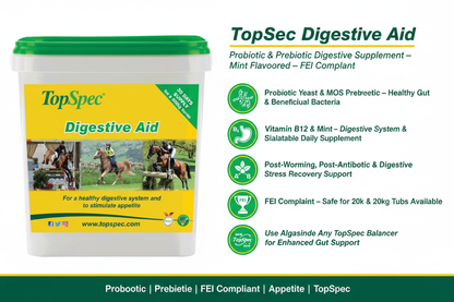 TopSpec Digestive Aid Infographic