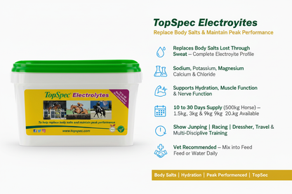 TopSpec Electrolytes Infographic