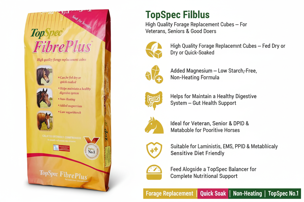 TopSpec FibrePlus Infographic
