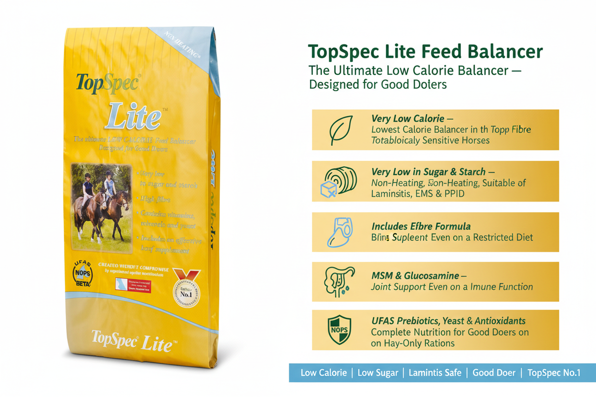 TopSpec Lite Feed Balancer Infographic