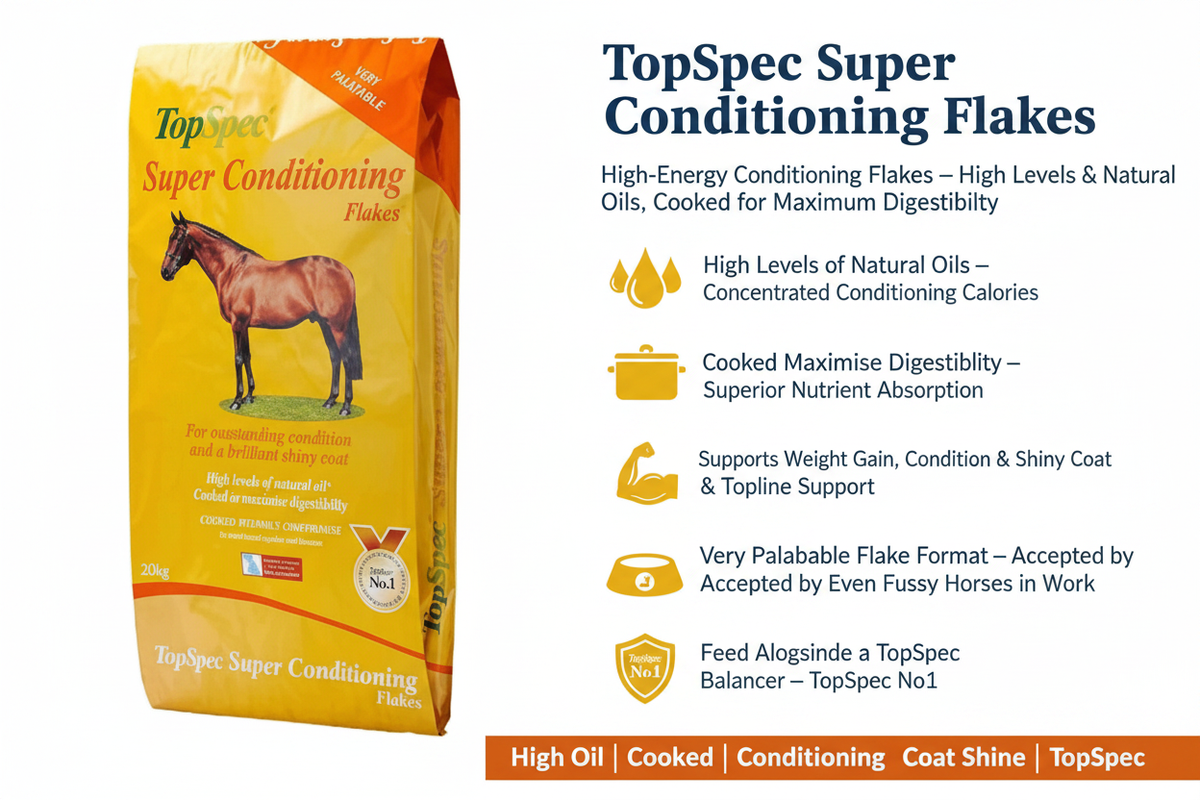 TopSpec Super Conditioning Flakes Infographic