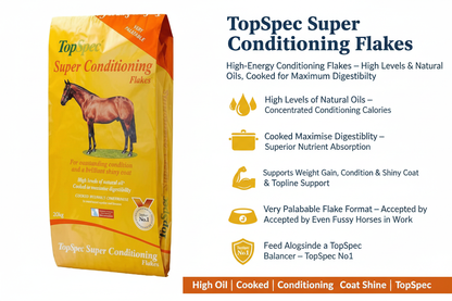 TopSpec Super Conditioning Flakes Infographic