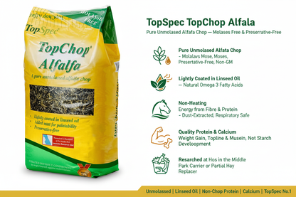 TopSpec TopChop Alfalfa Infographic