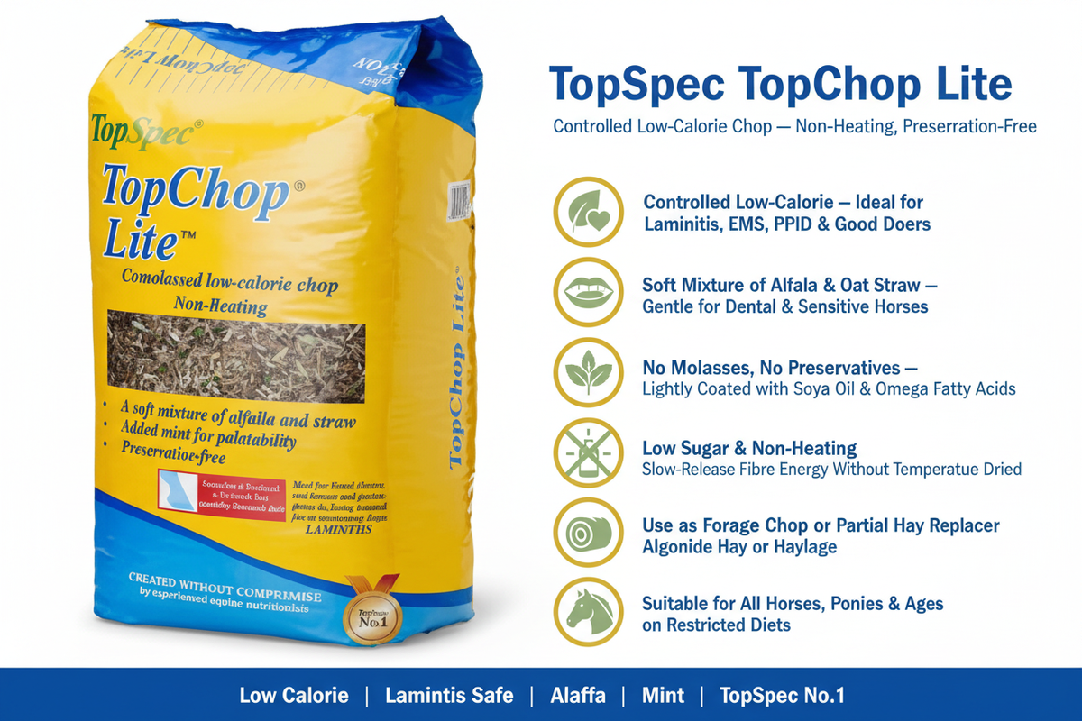 TopSpec TopChop Lite Infographic