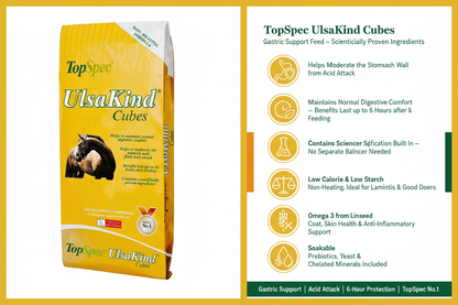 TopSpec UlsaKind Cubes Infographic