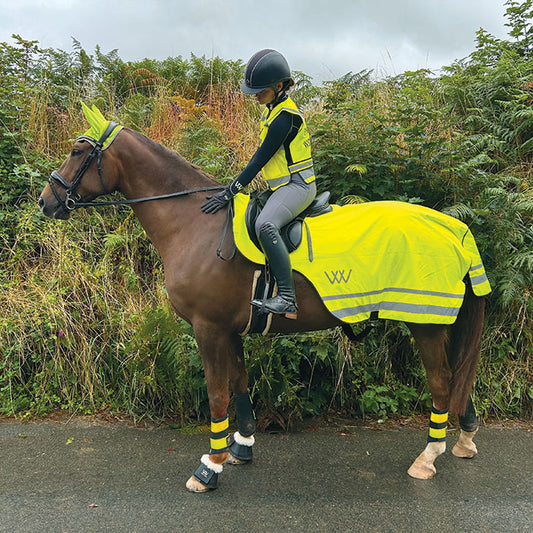Woof Wear Hi Vis Exercise Sheet Yellow