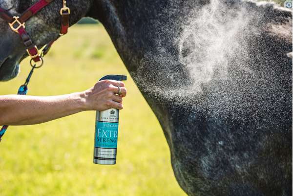 Carr & Day & Martin Extra Strength Insect Repellent Spray