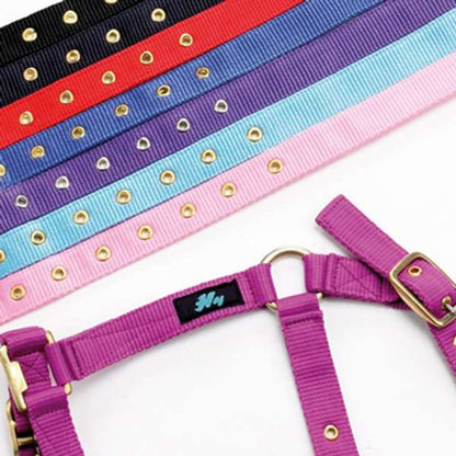 Hy Equestrian Holly Fully Adjustable Head Collar