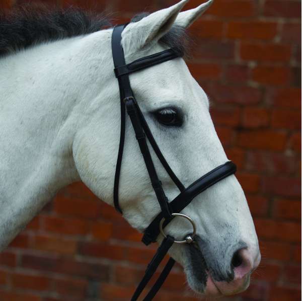 Hy Equestrian Padded Cavesson Bridle With Rubber Grip Reins