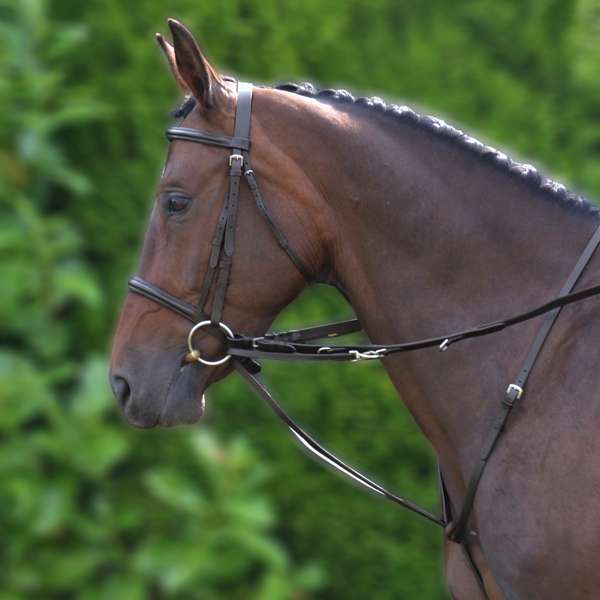 Hy Equestrian Market Harborough