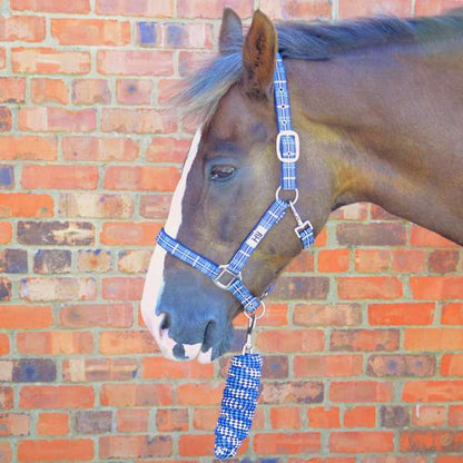 Hy Equestrian Tartan Head Collar With Lead Rope