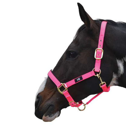 Hy Equestrian Grand Prix Head Collar