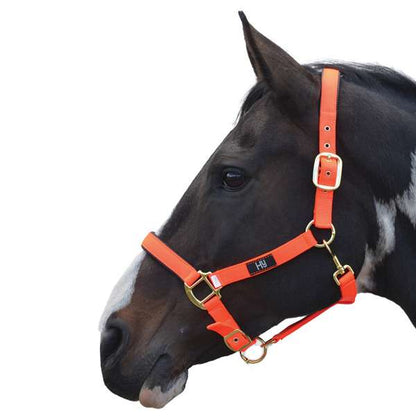 Hy Equestrian Grand Prix Head Collar