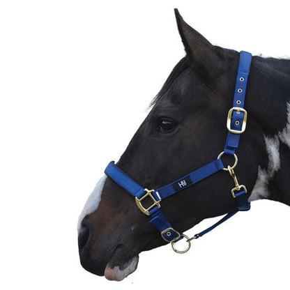 Hy Equestrian Grand Prix Head Collar