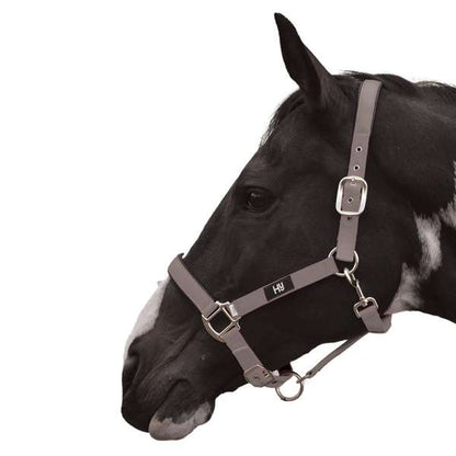 Hy Equestrian Grand Prix Head Collar