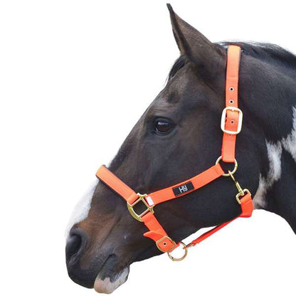 Hy Equestrian Grand Prix Head Collar