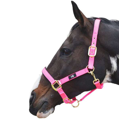 Hy Equestrian Grand Prix Head Collar