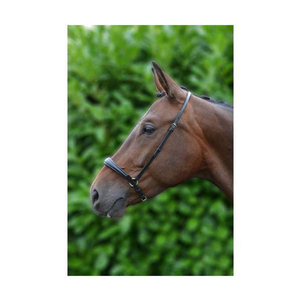 Hy Equestrian Padded Drop Nose Band