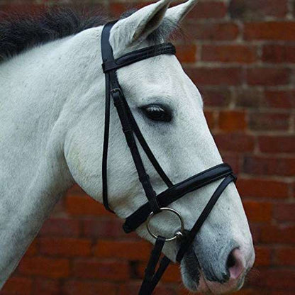 Hy Equestrian Flash Nose Band