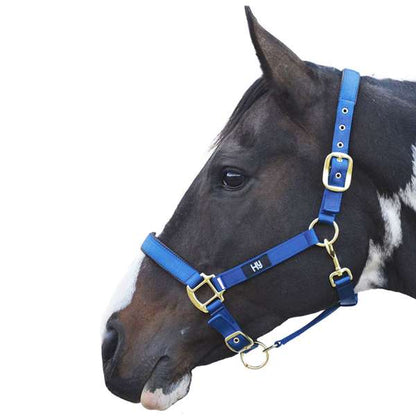 Hy Equestrian Grand Prix Head Collar