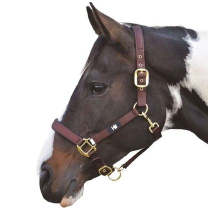 Hy Equestrian Grand Prix Head Collar