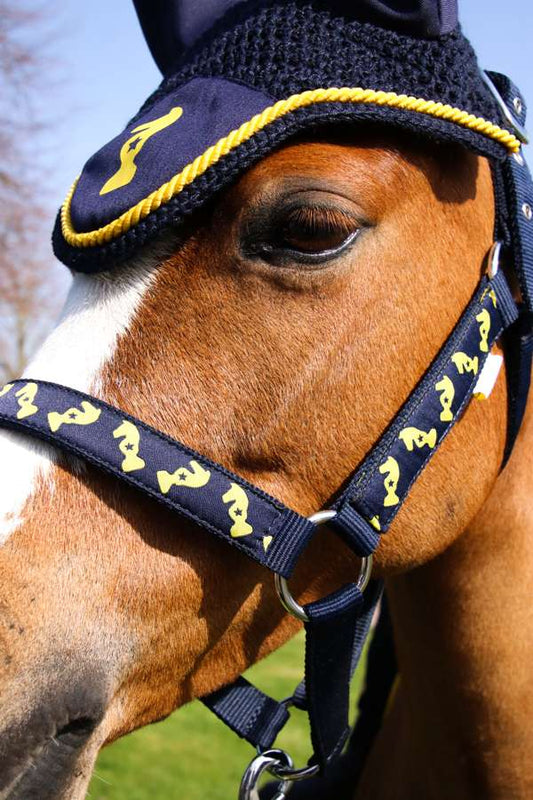 Lancelot Head Collar & Lead Rope By Little Knight Navy/Yellow